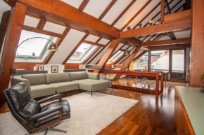 NEW Penthouse in Basel Center with free BaselCard